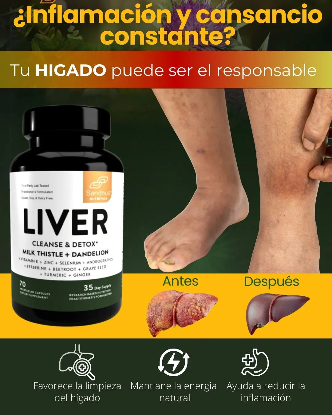 LIVER DETOX - LIMPIEZA Y DESINTOXICACIÓN DEL HÍGADO