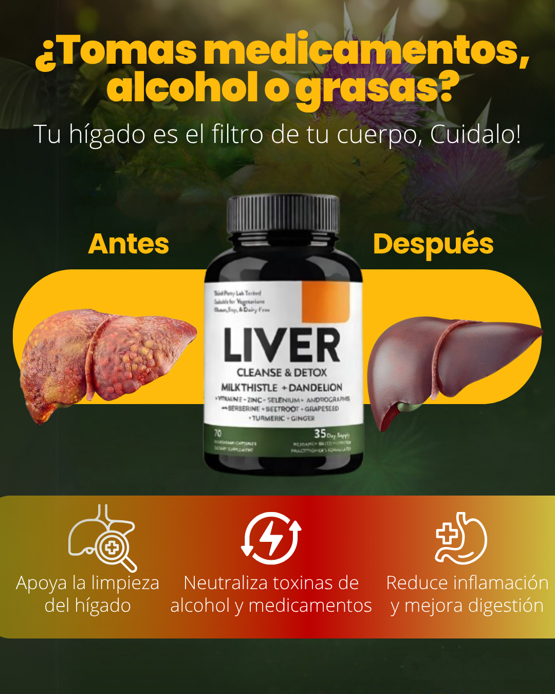 LIVER DETOX PLANTILLA 2