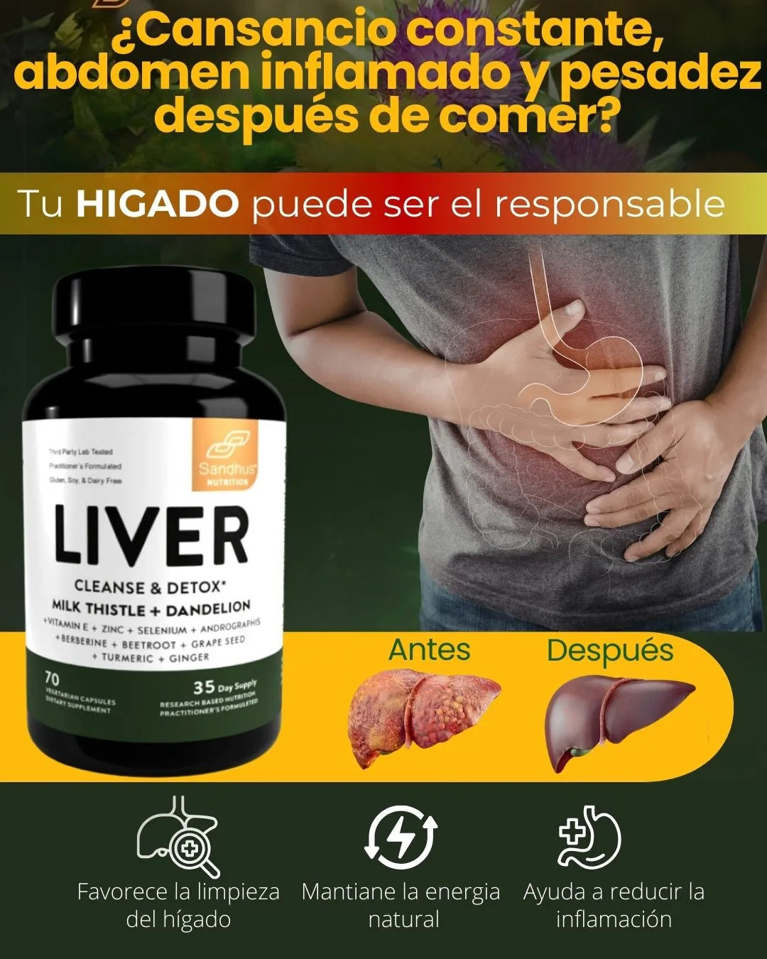 LIVER DETOX - LIMPIEZA Y DESINTOXICACIÓN DEL HÍGADO