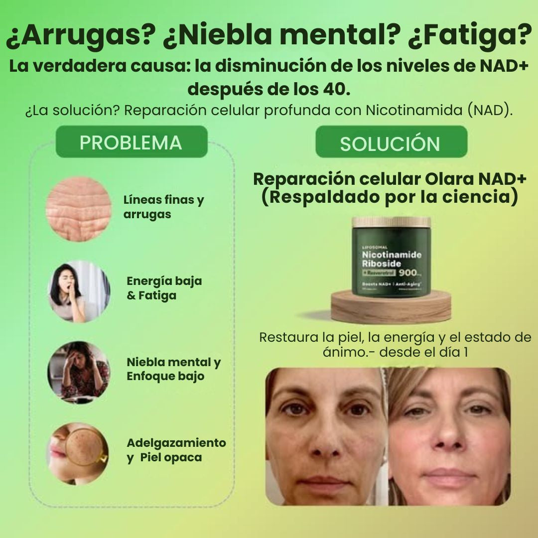 Nicotinamide (NAD + NR 900)