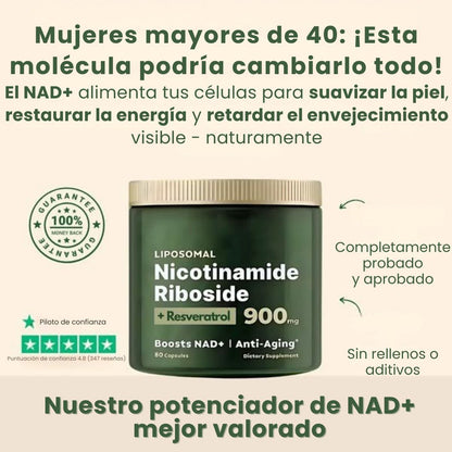 Nicotinamide (NAD + NR 900)