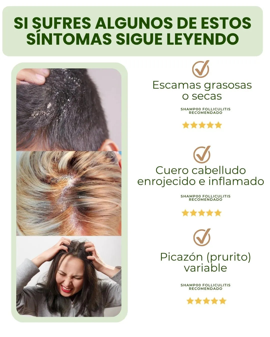 SHAMPOO 8 EN 1 - ELIMINA CASPA E HIDRATA