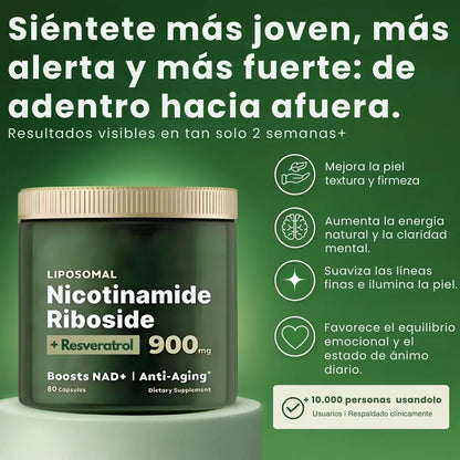 Nicotinamide (NAD + NR 900)